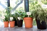 green basics growpot 13cm living black